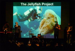 Jellyfish Project on stage_Small